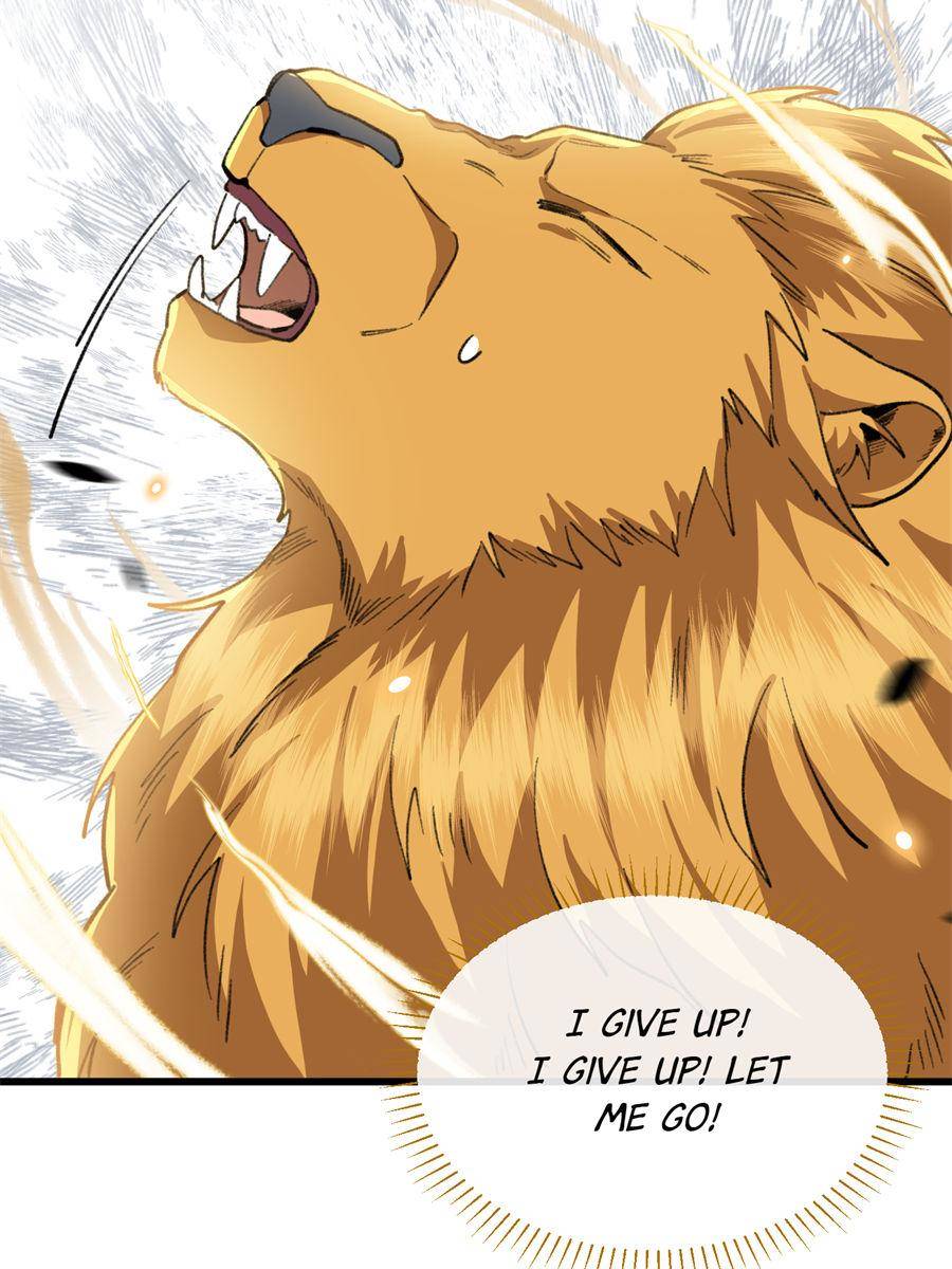 81490545 900 1200 138588