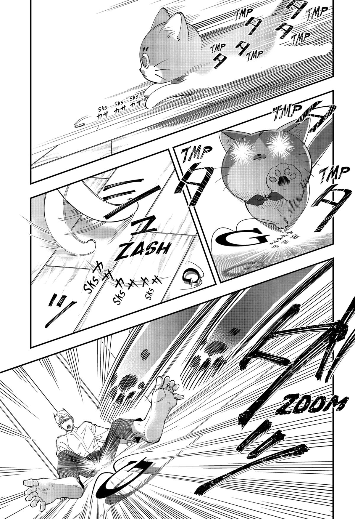 64393711 1200 1752 484523